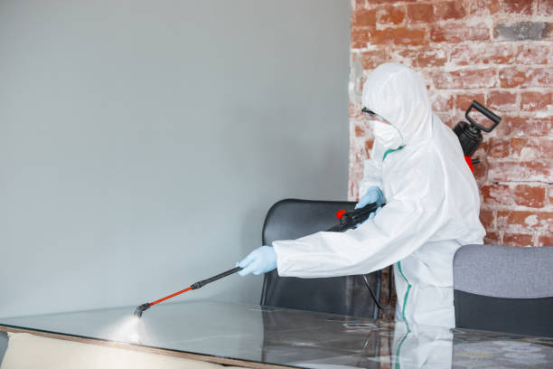 Best Asbestos and Lead Testing During Mold Inspection in , DC